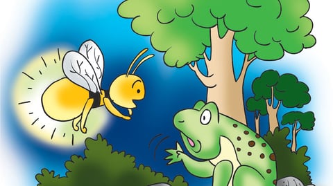 மின்மினி