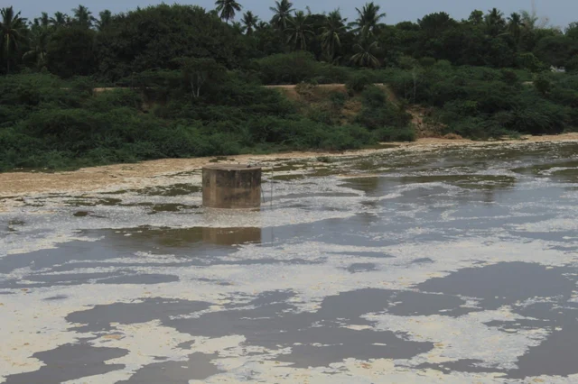 cauvery river
