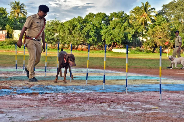திருச்சி ரயில்வே பாதுகாப்புப் படையின் மோப்பநாய் சாகச நிகழ்ச்சி
