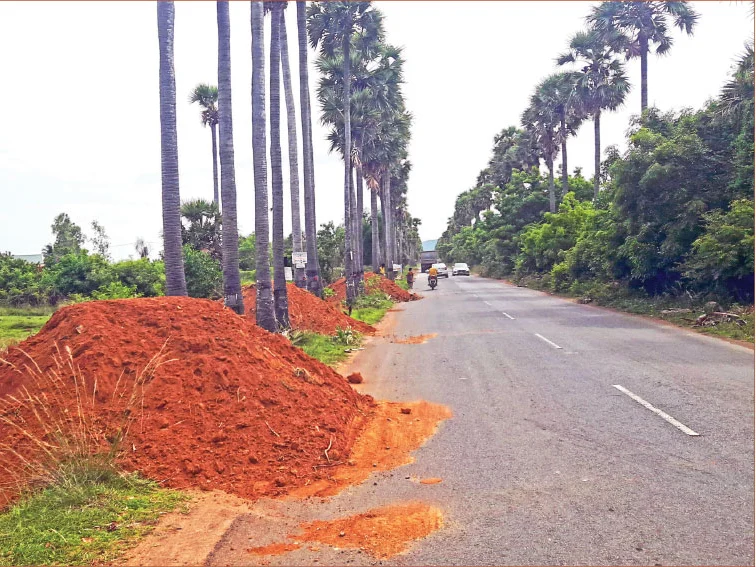 ‘‘சாலை விரிவாக்கத்துக்காக மரங்களை வெட்டாதீங்க!’’
