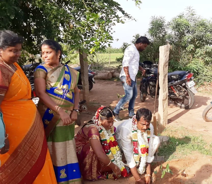 மரக்கன்று நடும் புதுமணத் தம்பதி
