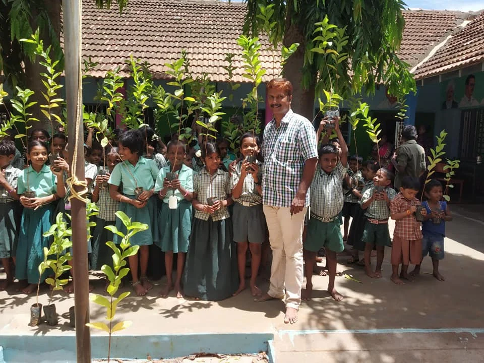 School students planting trees