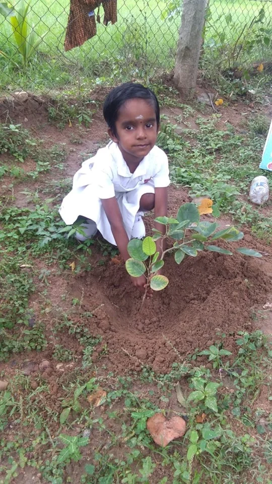 மரக்கன்றுகள் நடும் பள்ளி மாணவர்கள்