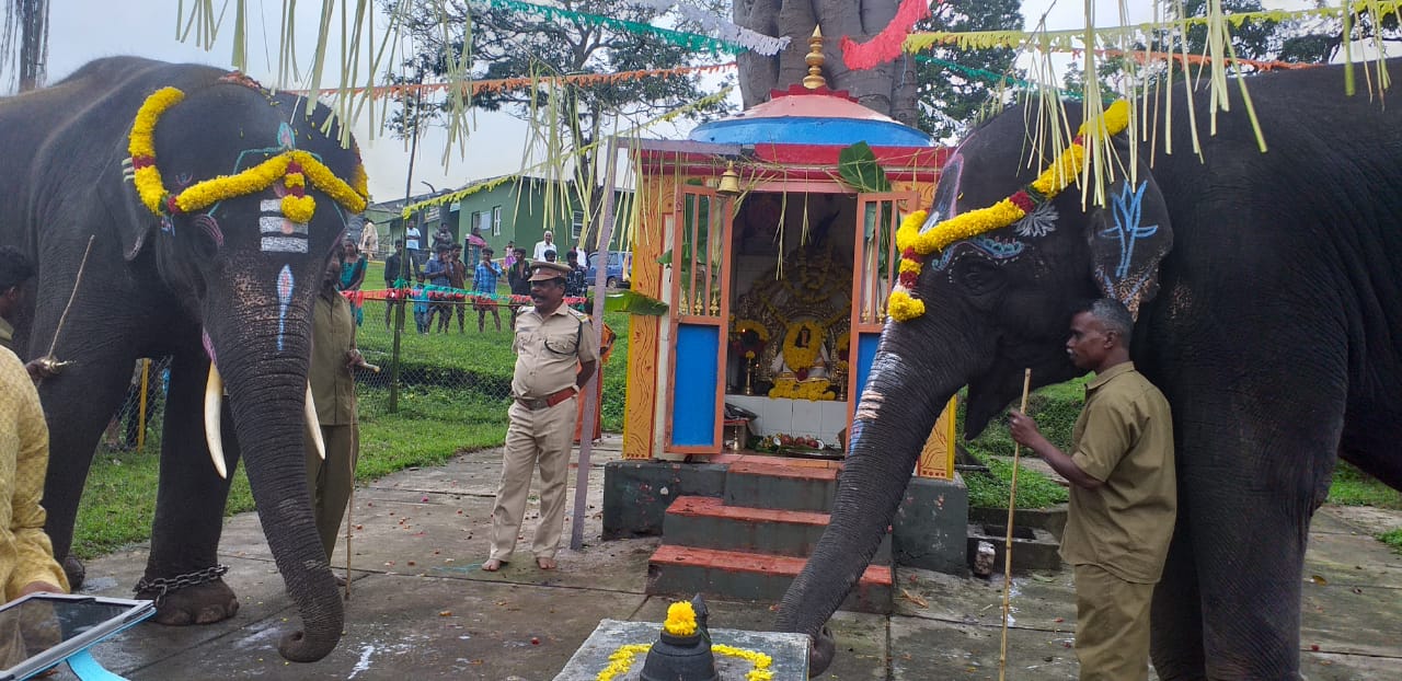 Masini and Krishna Elephants