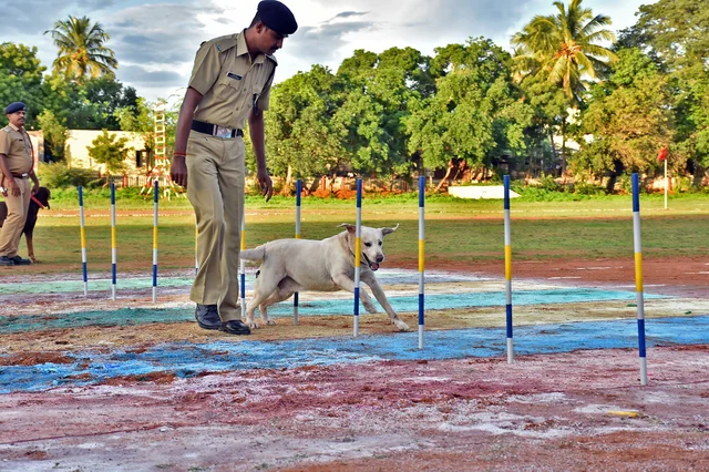 திருச்சி ரயில்வே பாதுகாப்புப் படையின் மோப்பநாய் சாகச நிகழ்ச்சி
