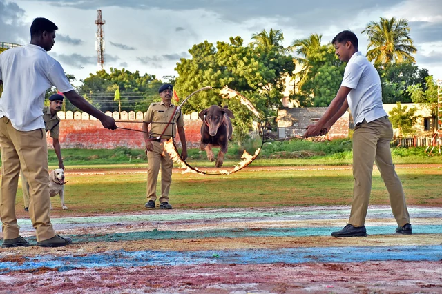திருச்சி ரயில்வே பாதுகாப்புப் படையின் மோப்பநாய் சாகச நிகழ்ச்சி