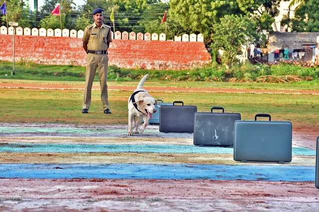 திருச்சி ரயில்வே பாதுகாப்புப் படையின் மோப்பநாய் சாகச நிகழ்ச்சி