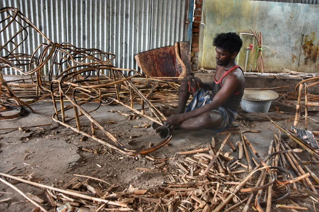 மூங்கில் பிரம்புகளை தேவையான அளவில் வெட்டுகின்றனர்