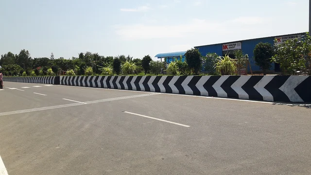கிழக்கு கடற்கரைச் சாலையில் புதிதாக நடப்பட்ட செடிகள்