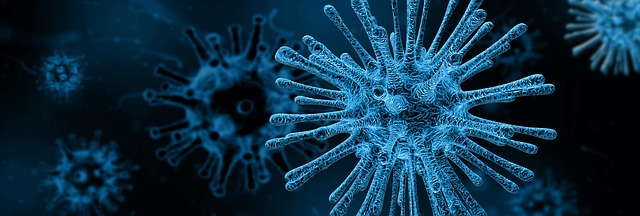 corona virus
