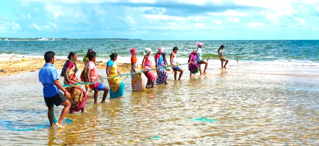 கரை வலை இழுக்கும் மீனவர்கள்