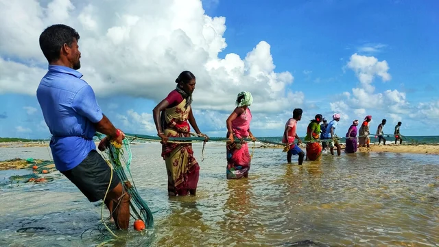 கரை வலை இழுக்கும் மீனவர்கள்