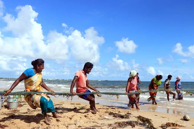 கரை வலை இழுக்கும் மீனவர்கள்