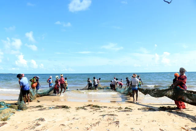 கரை வலை இழுக்கும் மீனவர்கள்