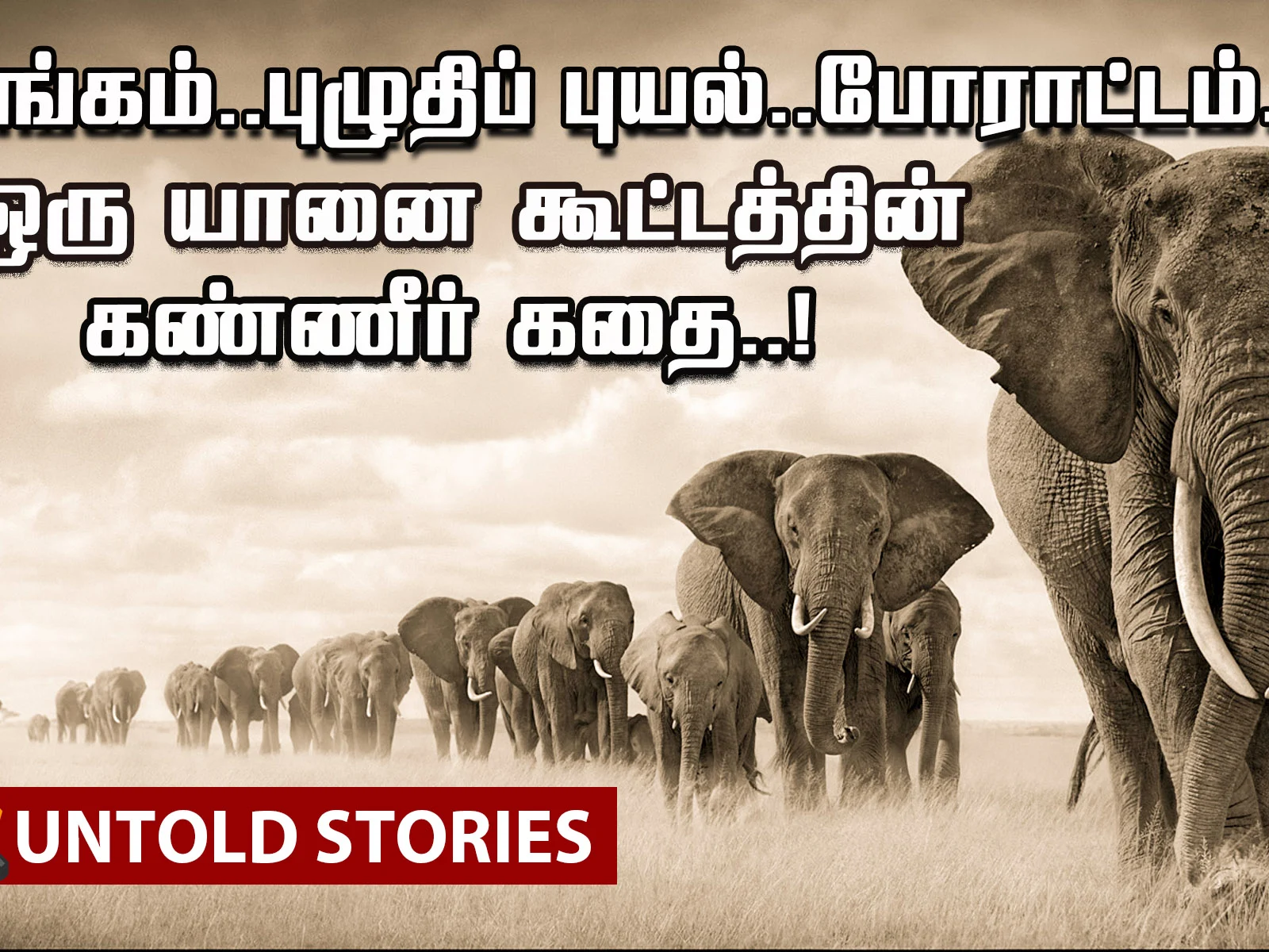 An Unimaginable Journey of Elephants!