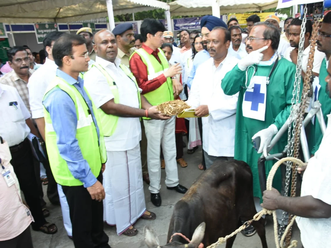 ஆழ்துளைக் கிணறு, புயல், மின்னல், பூகம்பம்!- பேரிடர் காலங்களில் பாதுகாத்துக் கொள்வது எப்படி?