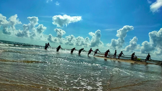 கரை வலை இழுக்கும் மீனவர்கள்