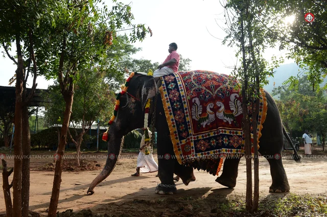 யானைகள் நல்வாழ்வு முகாம் 2019-2020