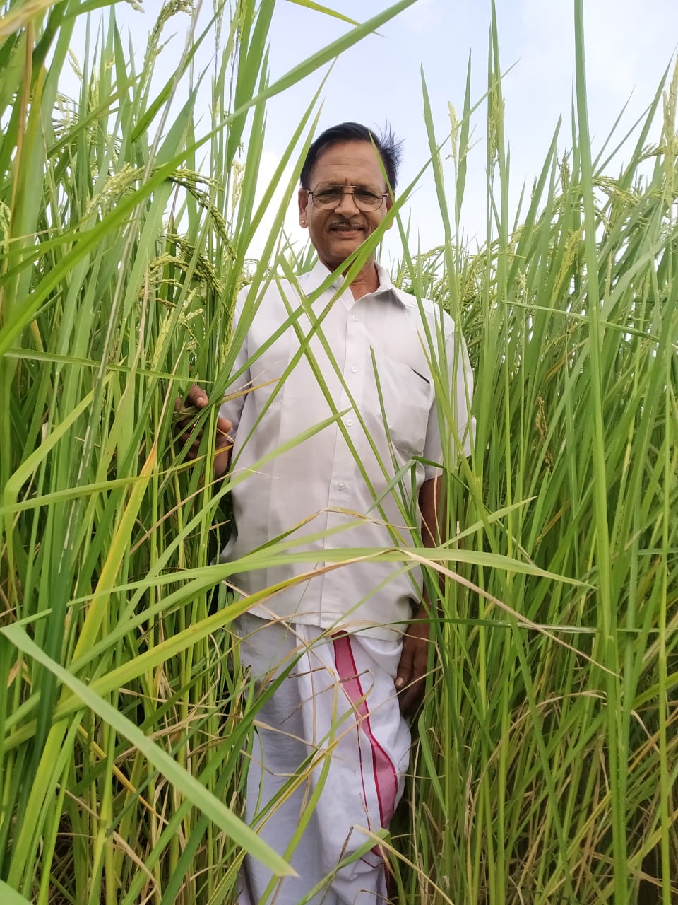 வயலில் சீனிவாசன்