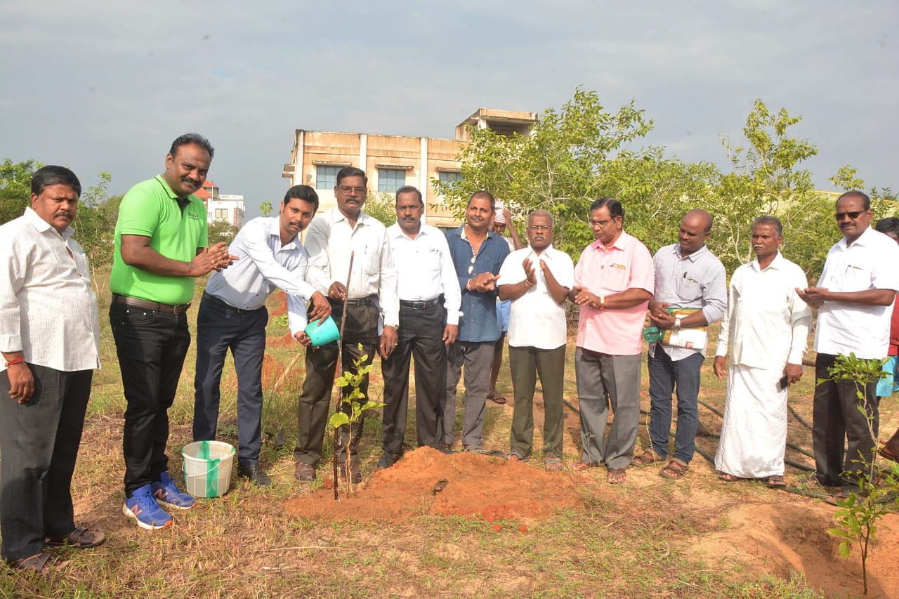 மாமல்லபுரம் சிற்பக் கல்லூரியில் மரம் நடுவிழா