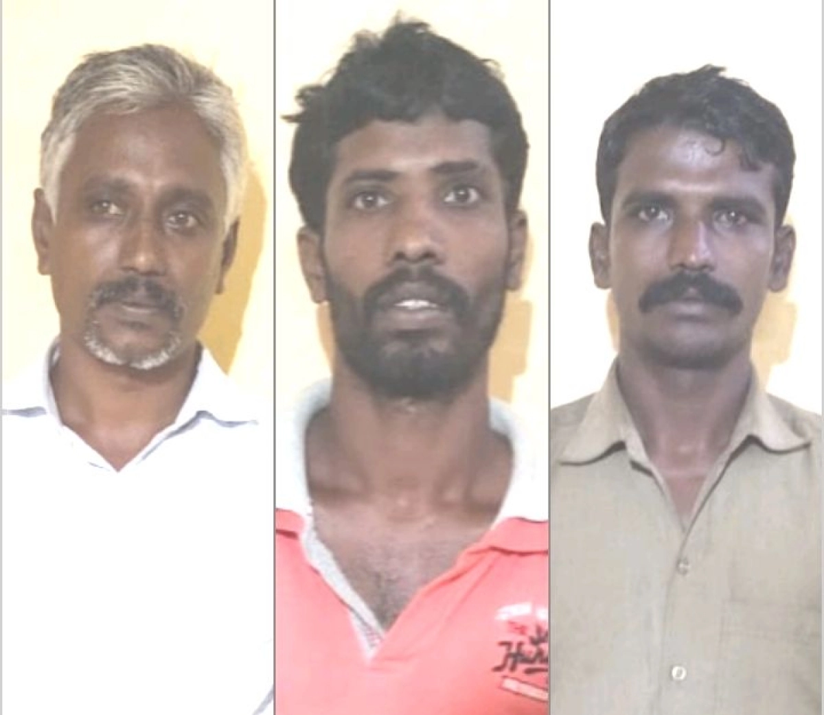 கைதுசெய்யப்பட்ட செம்மரக் கடத்தல் கும்பல்