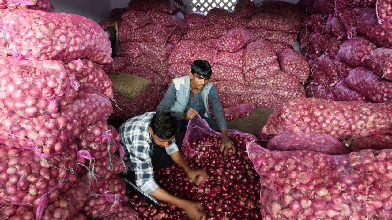 எகிப்து வெங்காயம்