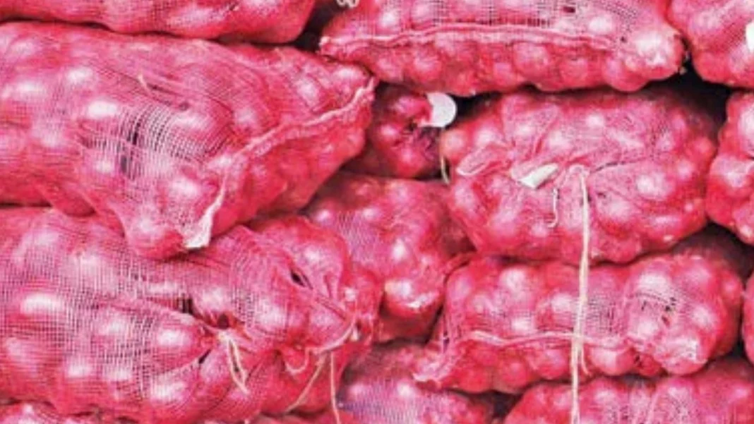எகிப்து வெங்காயம்