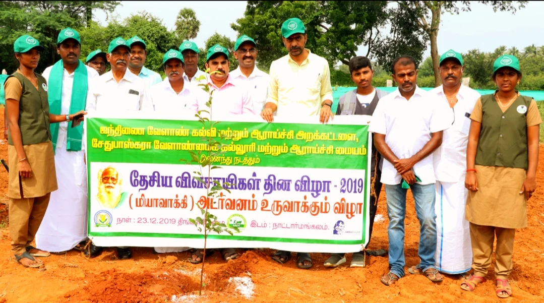 மியாவாக்கி