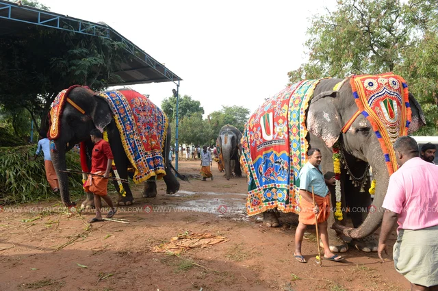 யானைகள் நல்வாழ்வு முகாம் 2019-2020