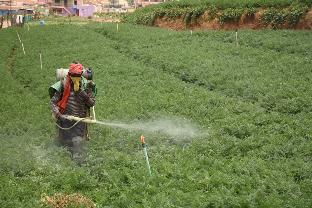 Pesticides