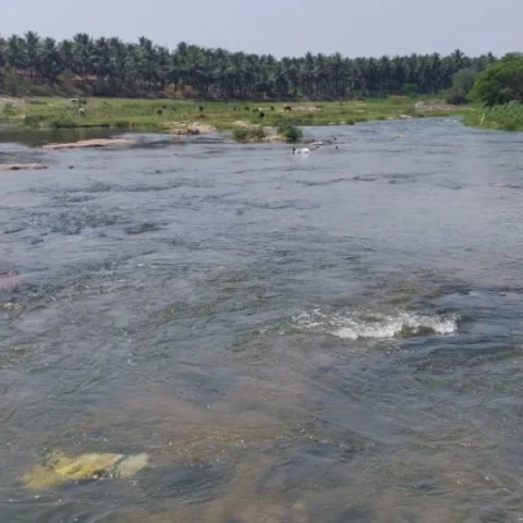 பொள்ளாச்சி