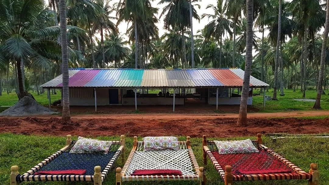 Palm tree cot