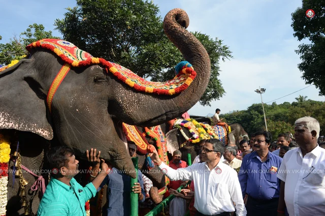 யானைகள் நல்வாழ்வு முகாம் 2019-2020