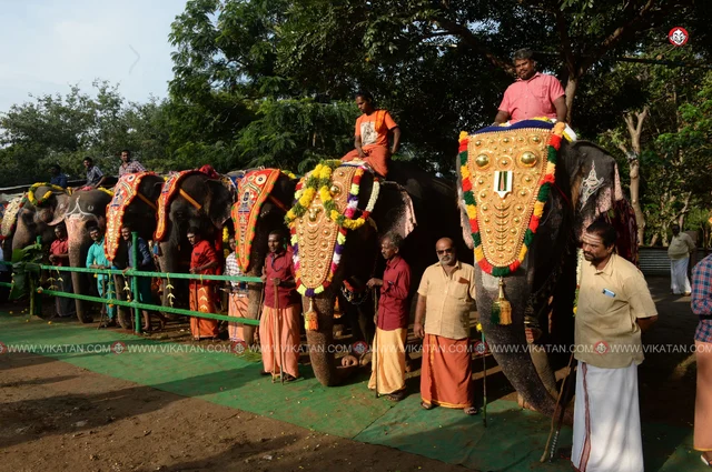 யானைகள் நல்வாழ்வு முகாம் 2019-2020