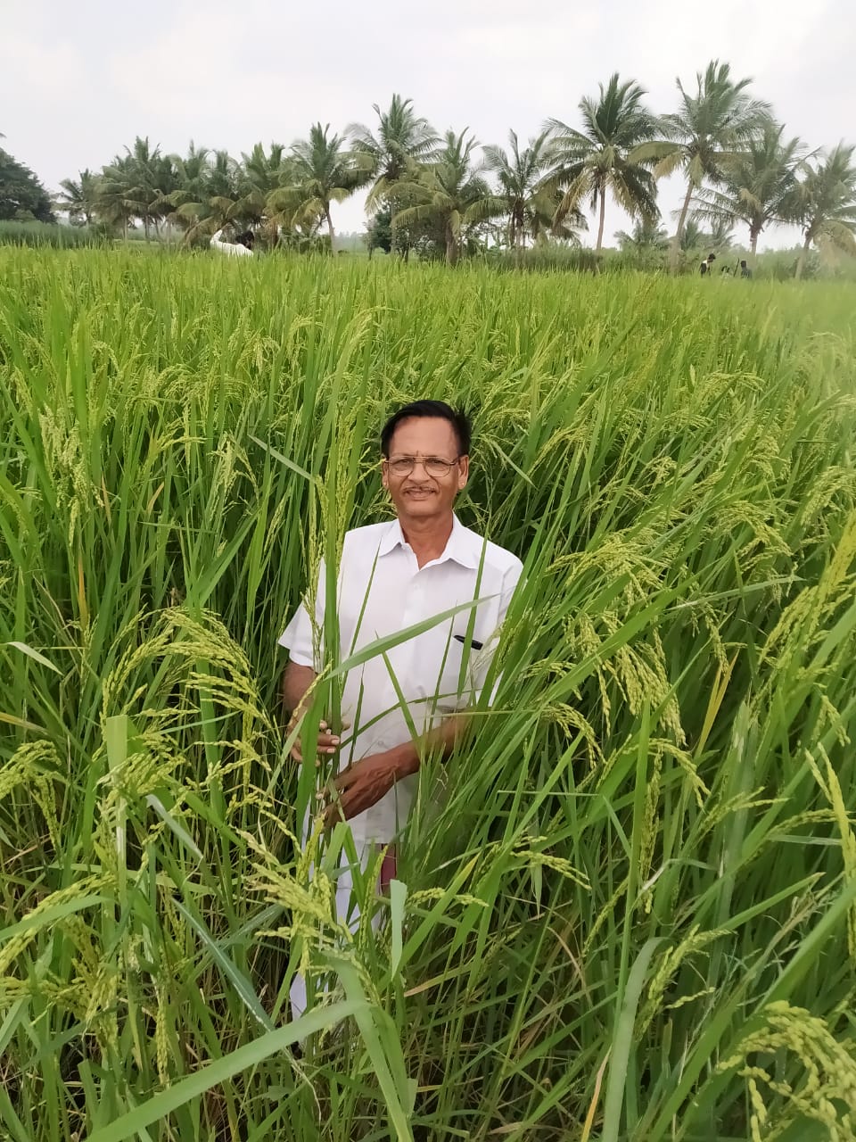 வயலில் சீனிவாசன்
