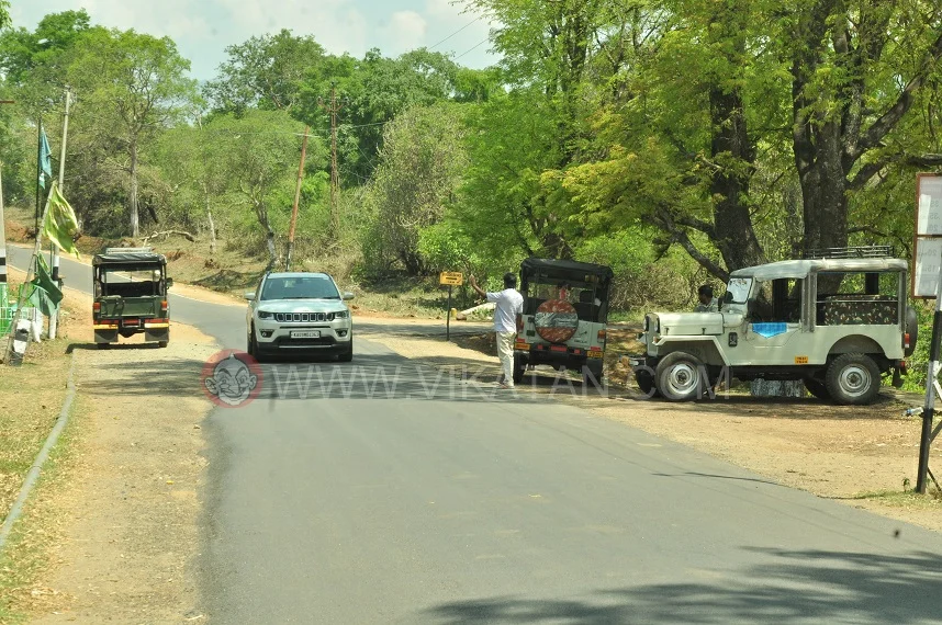Mudumalai
