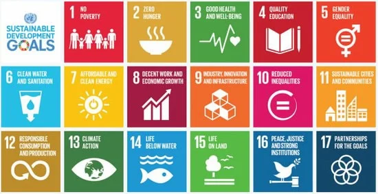 ஐ.நா சபையால் வரையறுக்கப்பட்ட நிலையான வளர்ச்சி இலக்குகள் (SDG)