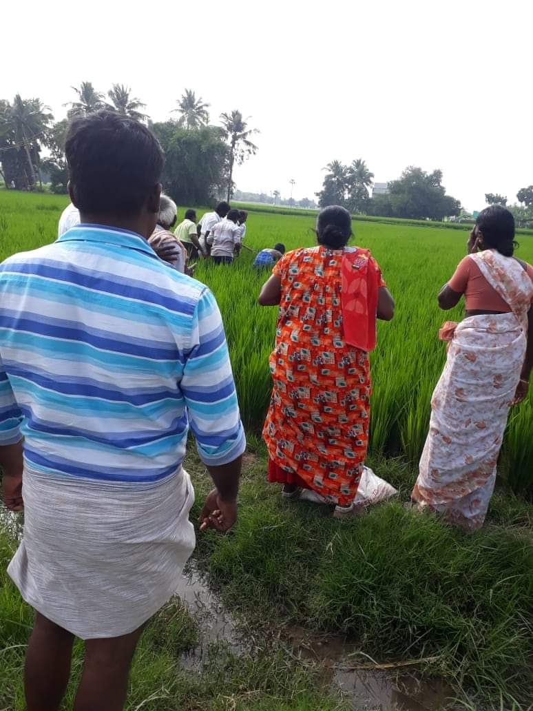 வயலில் உடல்களை மீட்கும் பொதுமக்கள்