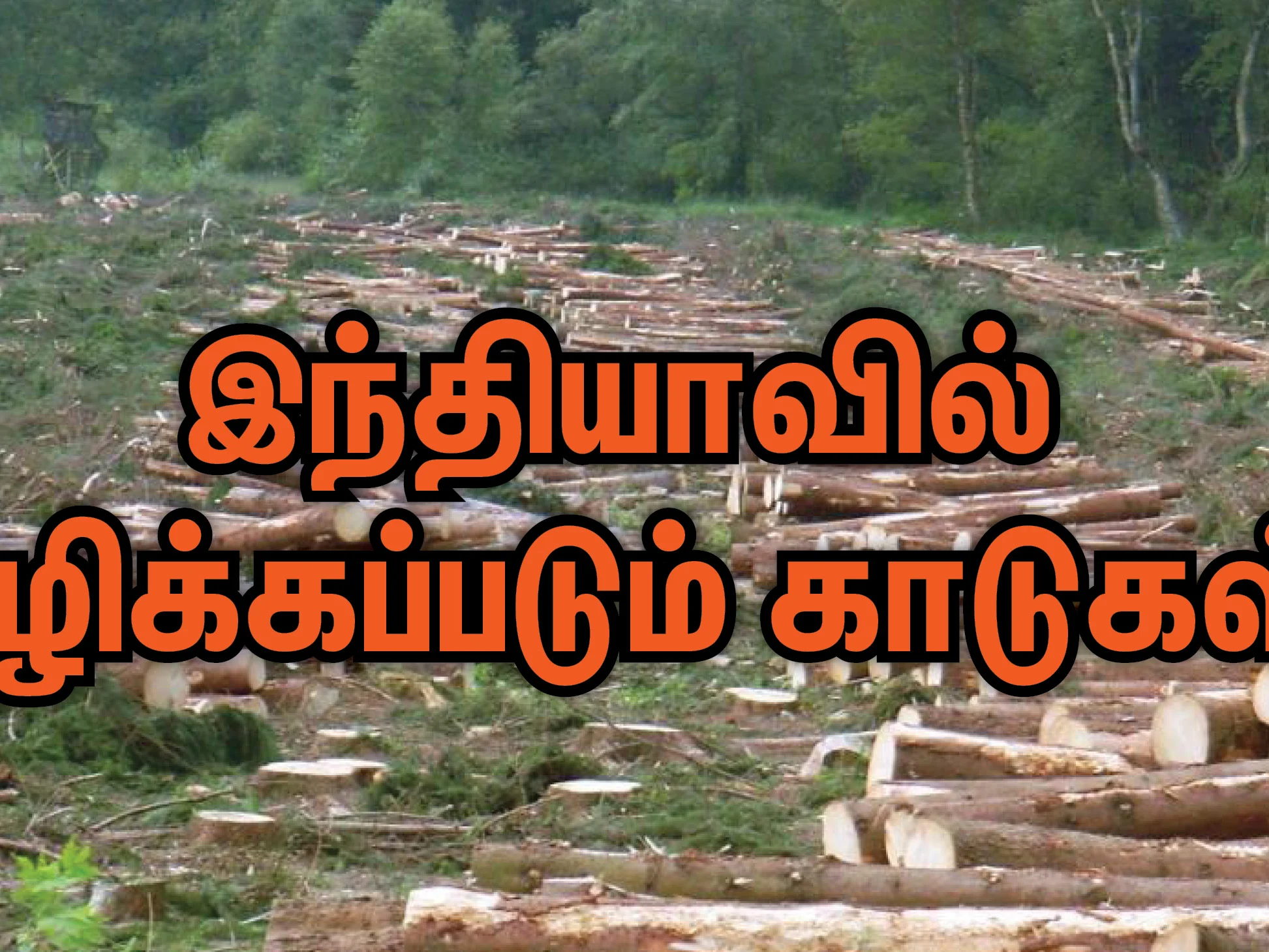இந்தியாவில் அழிக்கப்படும் காடுகள்