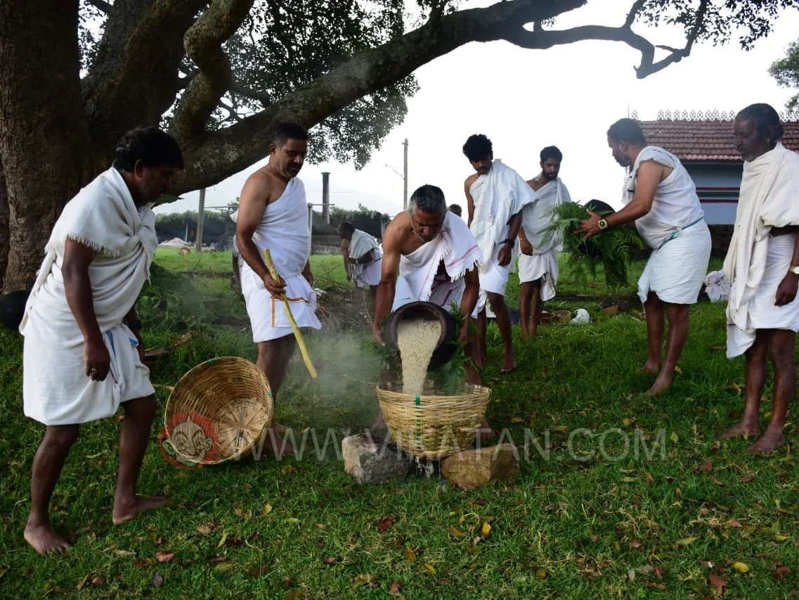 `விரதம் இருந்து அறுவடை, பெண்களுக்கு நோ என்ட்ரி!' - பழங்குடி ஆண்கள் மட்டுமே சமைக்கும் அசத்தல் பொங்கல்