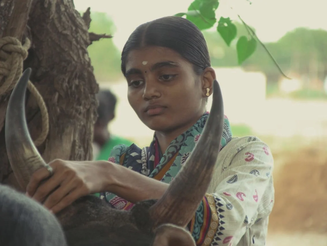`அடிபட்டா என்ன.. நாம வளர்த்தெடுப்போம்னு அவ சொன்னப்போ..!’- நெகிழும் ஜல்லிக்கட்டு சிறுமியின் அண்ணன்