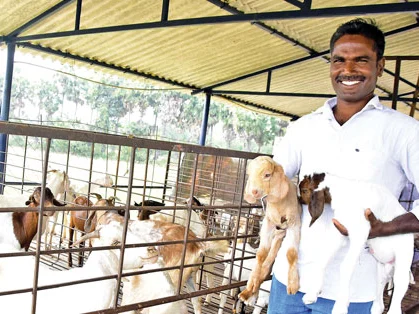 40 ஆடுகள்... ரூ. 2,56,000... பசுமைச் சந்தை கொடுத்த விற்பனை வாய்ப்பு!
