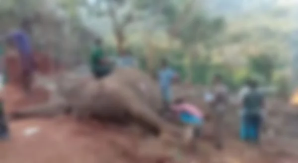மருத்துவக் குழுவினர் ஆய்வு
