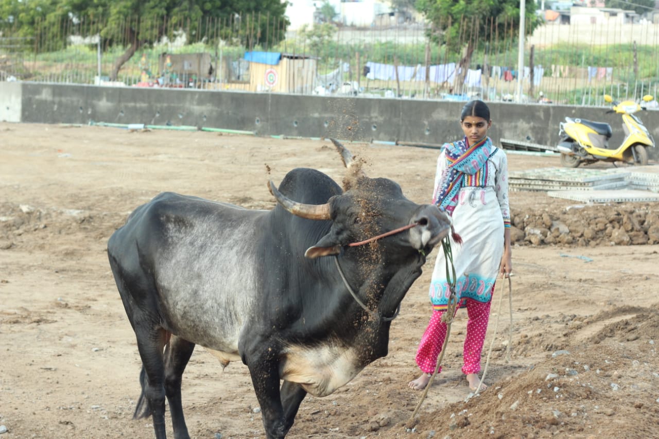 மண் குத்து பயிற்சி