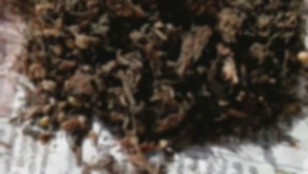 கஞ்சா