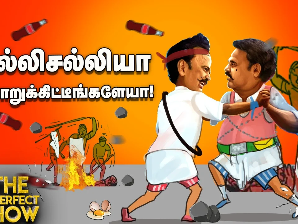 ஹெச்.ராஜாவை பங்கமாய் கலாய்த்த சீமான்! | தி இம்பர்ஃபெக்ட் ஷோ 11/01/2020