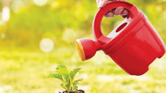 ஃபண்ட் கிளினிக்