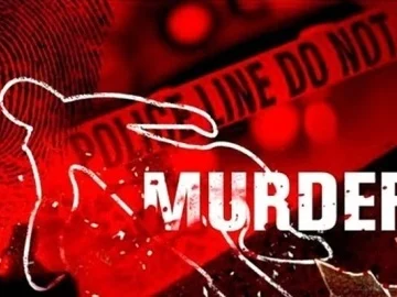 `முதலில் குழந்தைகள், அடுத்து கணவரின் குடும்பம்!' -பஞ்சாப் போலீஸுக்கு அதிர்ச்சிகொடுத்த இளம்பெண்