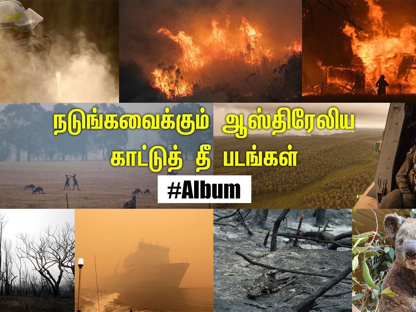 கருகிய கங்காருகள், தீயணைக்க பறக்கும் ஹெலிகாப்டர்கள்; நடுங்கவைக்கும் ஆஸ்திரேலிய காட்டுத் தீ! #PhotoAlbum