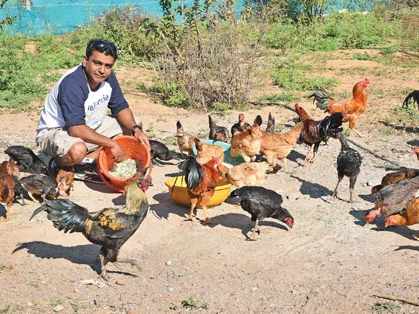ஆன்லைன் மூலமும் விவசாயம் செய்யலாம்!